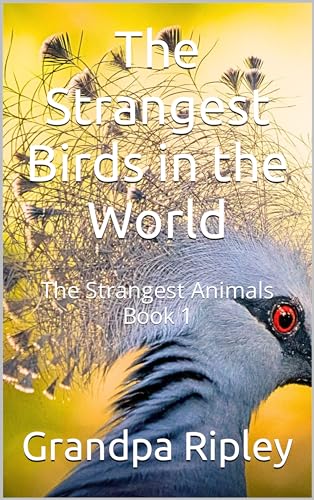 The Strangest Birds In The World